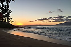 Napili Shores Resort F-245