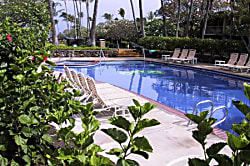 Napili Shores Resort F-245