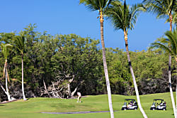 Heavenly Days at KaMilo