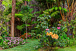 Gigi's Volcano Cottage