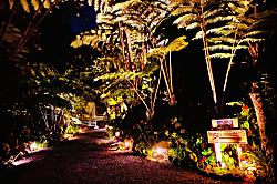 Gigi's Volcano Cottage