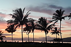 Maui Sunset B120