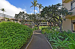 Kaanapali Royal C202