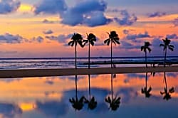 Ilikai Hotel 18th Floor Condo