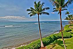 Island Sands Resort 310