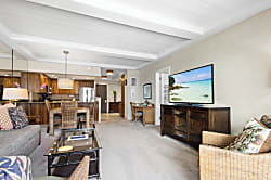 Aston Whaler at Kaanapali 770