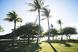 Marine Surf 17th Floor