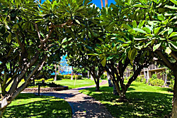 Luana Kai Resort D102