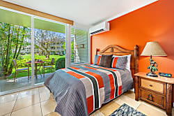 Islander  Studio 137