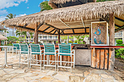 Islander  Studio 137