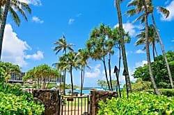 Turtle Bay Ocean Villas Rental
