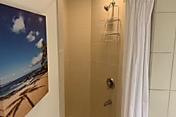 Palms at Wailea 1802