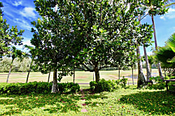 North Shore Barefoot Hideaway