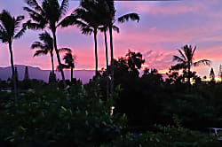 Studio at Orchid Point