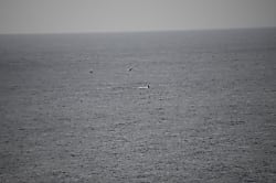 Alii Kai Ocean View Condo