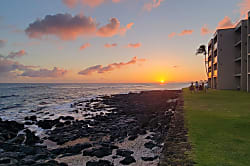 Kuhio Shores 112