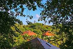 Poipu Crater 12 - Tropical Paradise - Garden/Crate