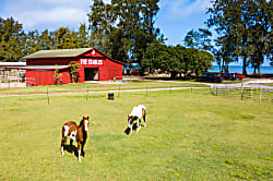 Turtle Bay Resort Villa 315