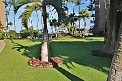 Kauhale Makai Renovated Condo