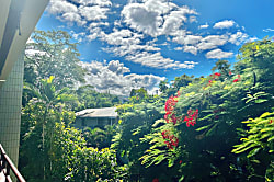 Paradise - White Sands Village