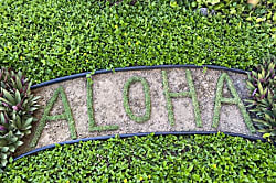 Sugar Beach Resort Oceanfront Condo Kihei