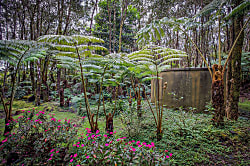 Hale Mauka Rainforest Retreat