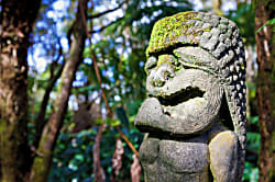 Hale Mauka Rainforest Retreat