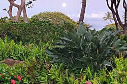 Alluring Beach Villa at Ko Olina