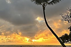 Kauai Kailani Ground Floor Unit