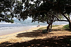 Kauai Kailani Ground Floor Unit