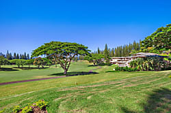 Kapalua Golf Villa #16  P1&2