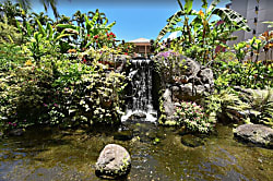 Aston Ka'anapali Shores 428