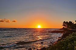 Kuhio Shores 1 Bedroom