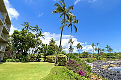 Kuhio Shores 1 Bedroom