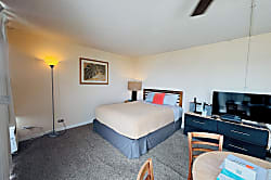 Pacific Monarch #2608