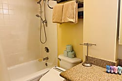 Pacific Monarch #2608