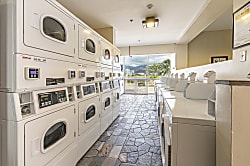 Island Colony 16th Floor