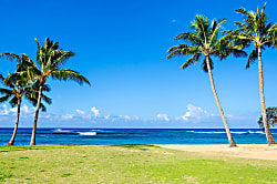 Kiahuna Plantation #200 (building 31)