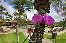 Hanalei Bay Resort 7101