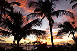 Maui Vista Top Floor