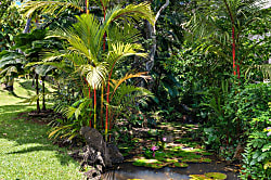 Waikomo Stream Villas 402