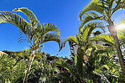 Sugar Beach Resort 424