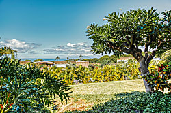 Wailea Ekolu Village 203