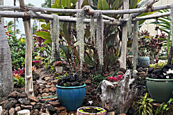 Lae Nani Ground Floor Condo