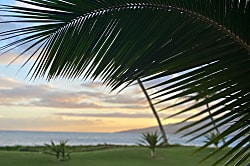 Sugar Beach Resort 115