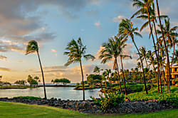 Mauna Lani Terrace G102