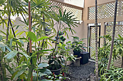 The Shores at Waikoloa Beach Villa One