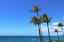Makahuena Oceanfront Condo