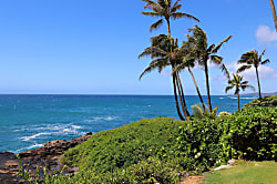 Makahuena Oceanfront Condo