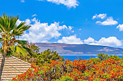 Wailea Grand Champions 58